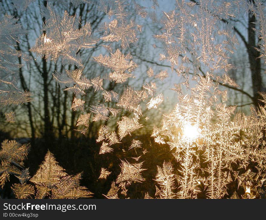 Iceflowers (frost) on window, behind glass - sunrise on cold winter day