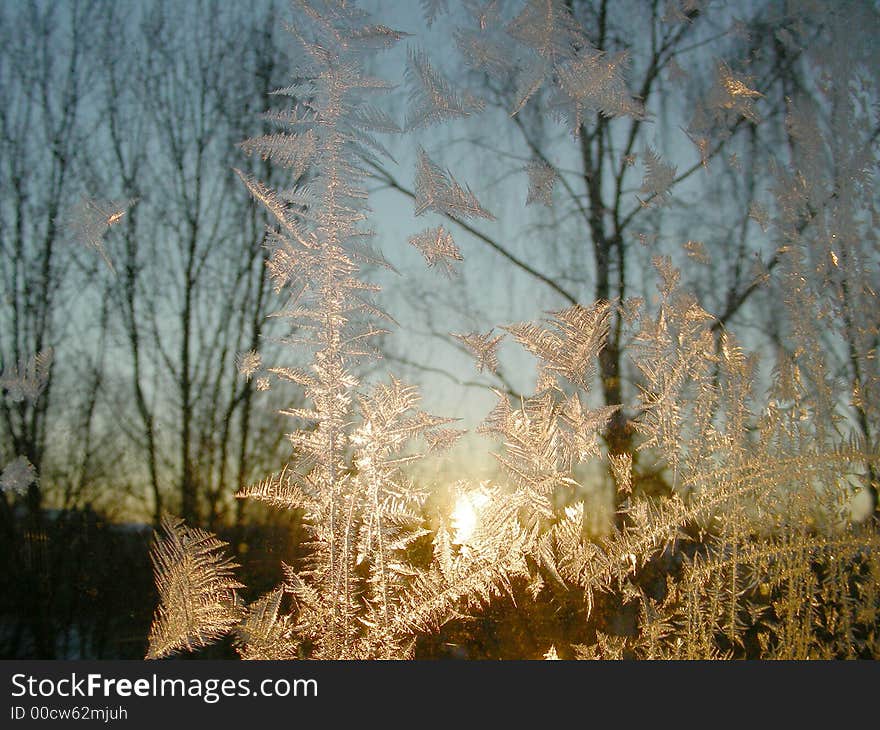 Iceflowers (frost) on window, behind glass - sunrise on cold winter day