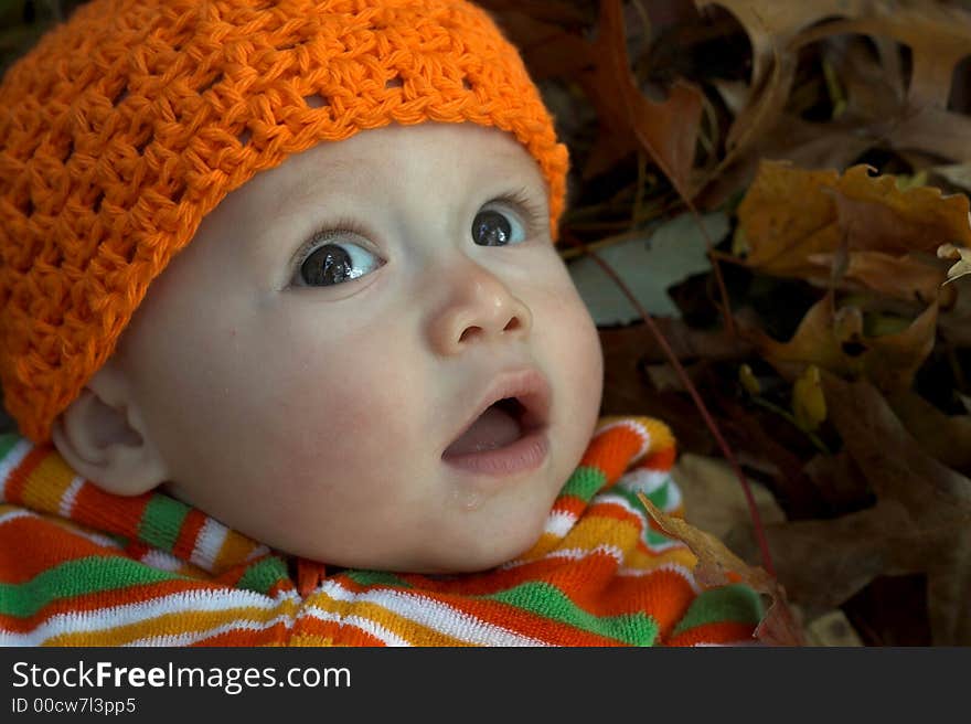 Picture of cute smiling baby in a pile of fallen leaves. Picture of cute smiling baby in a pile of fallen leaves