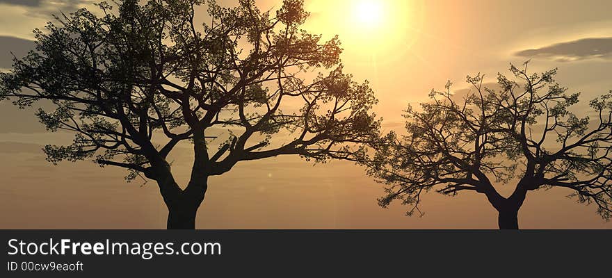 Tree silhouettes  at sunset - 3d scene. Tree silhouettes  at sunset - 3d scene.