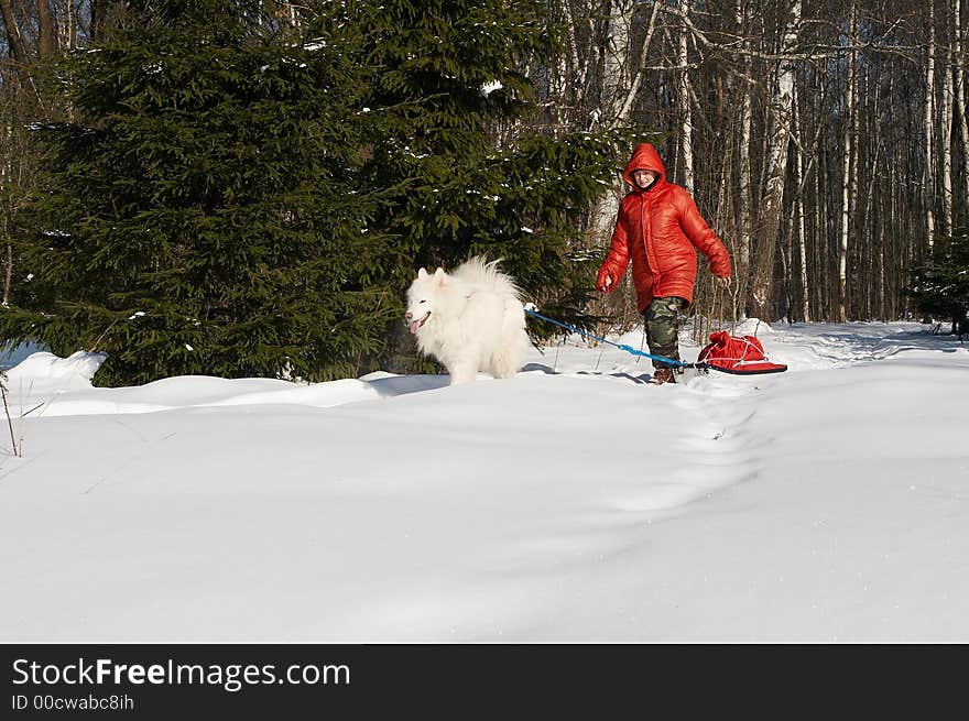 Girl in winter clothing take a walk with dog. Girl in winter clothing take a walk with dog