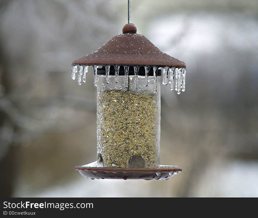 Icy Bird Feeder