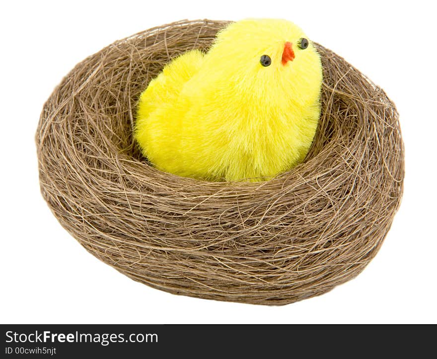 Easter chicks in the nest