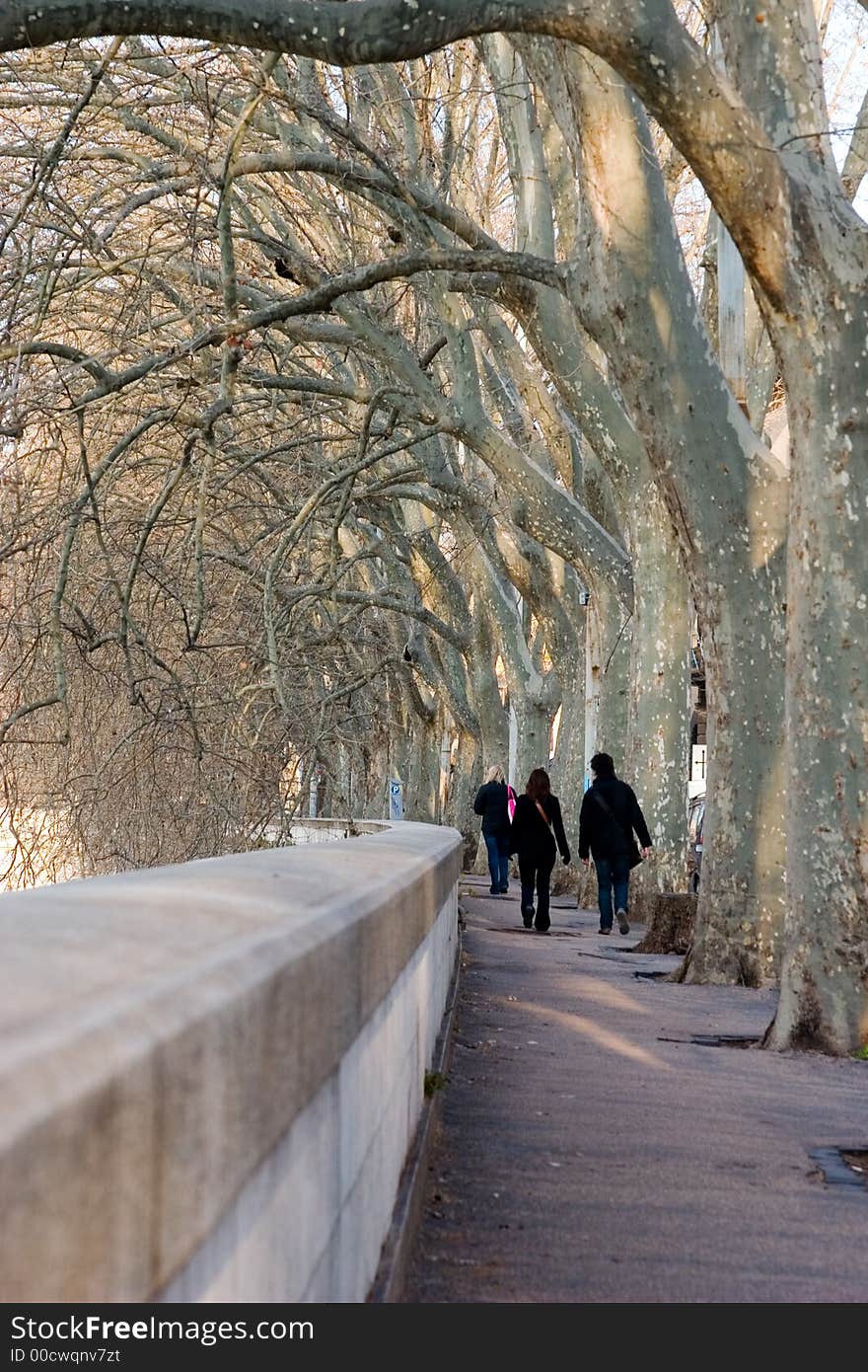 Pedestrian Avenue in Rome II, Italy