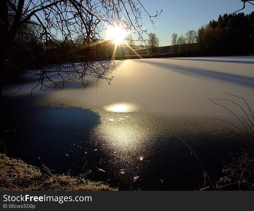 Sunshine morning nature way landscape