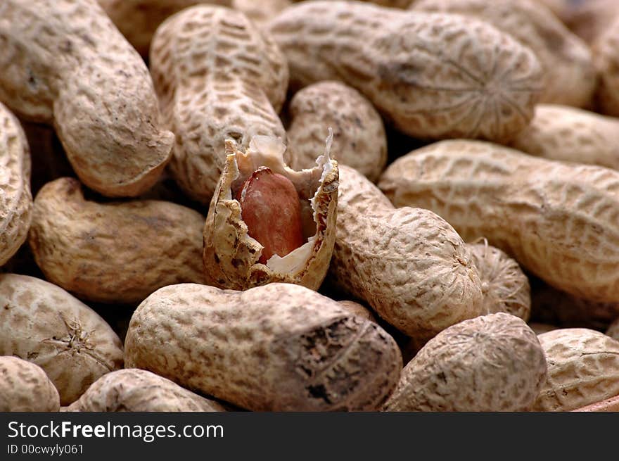 Peanut; fatty; fat; legume; organic; ingredient. Peanut; fatty; fat; legume; organic; ingredient