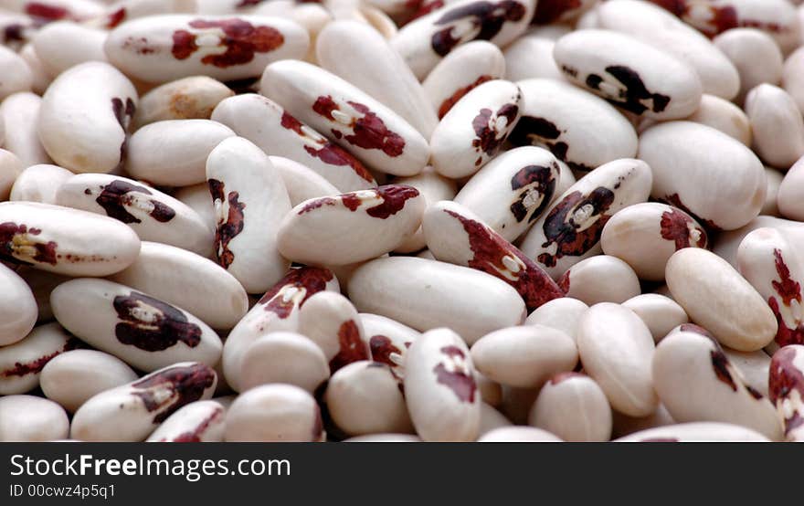 Kidney Bean5