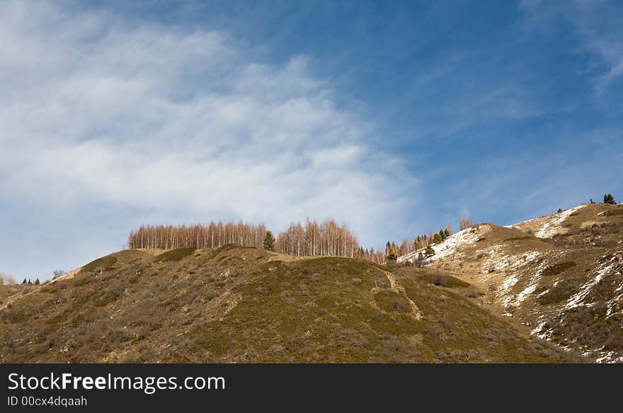 Blue sky, white cloudes, brown grove, green and brown slopes. Blue sky, white cloudes, brown grove, green and brown slopes