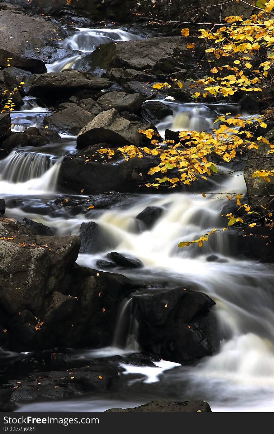 A picturesque fall stream on a sunny day