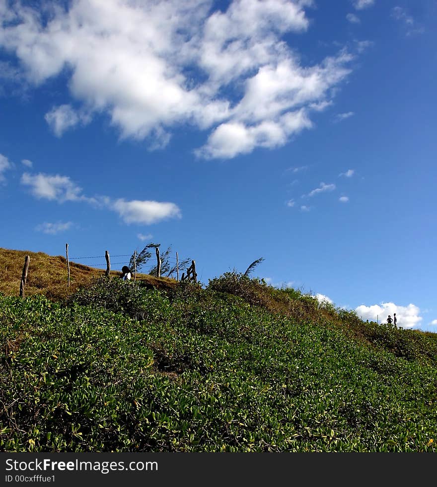 Landscape at  hookipa maui 
hawaii