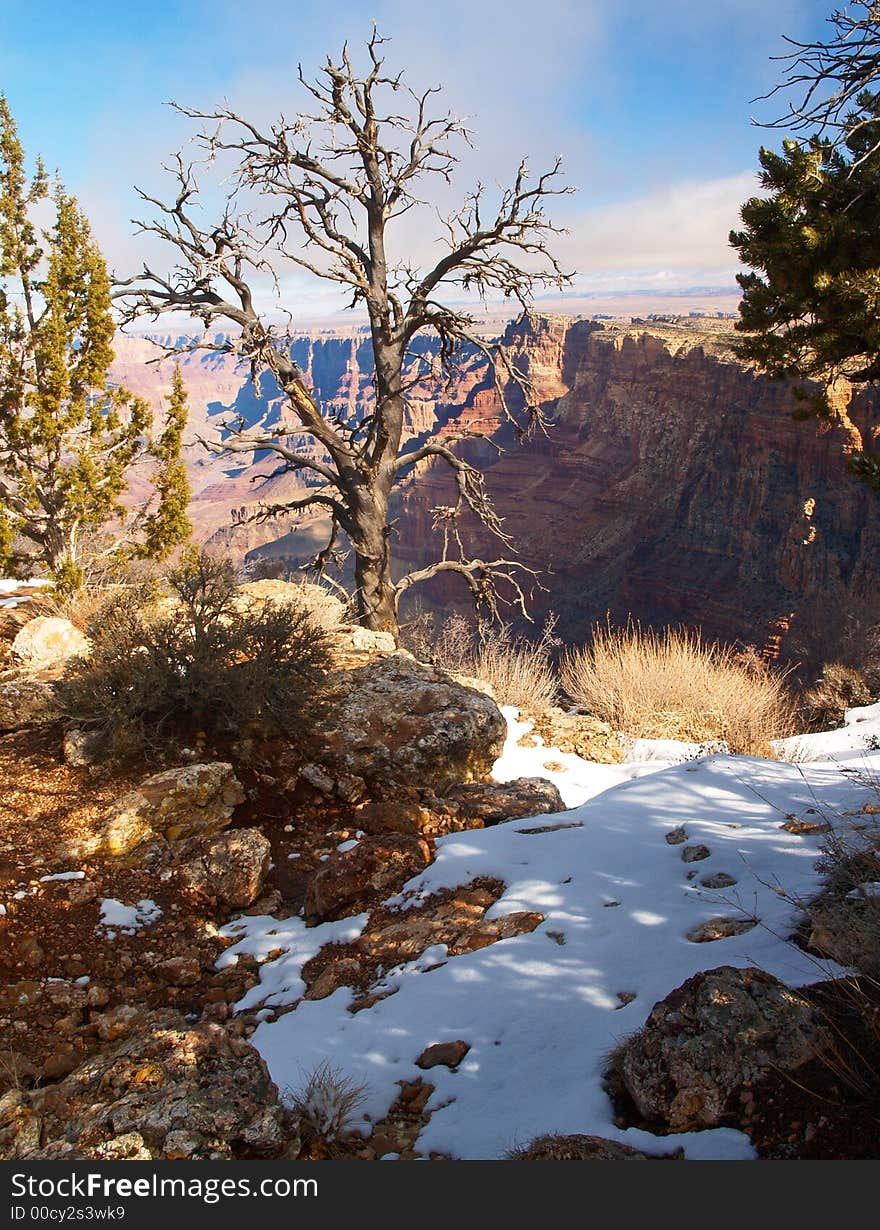 Grand Canyon National Park