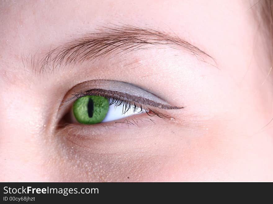 Female eye with long eyelashes close up. Female eye with long eyelashes close up