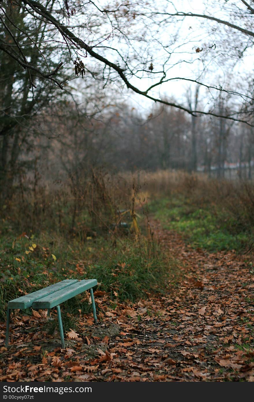 A peaceful pathway leading away from a solitary bench in a park in autumn. A peaceful pathway leading away from a solitary bench in a park in autumn