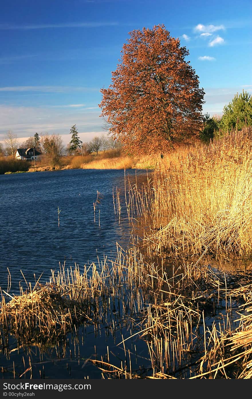 Autumn landscape