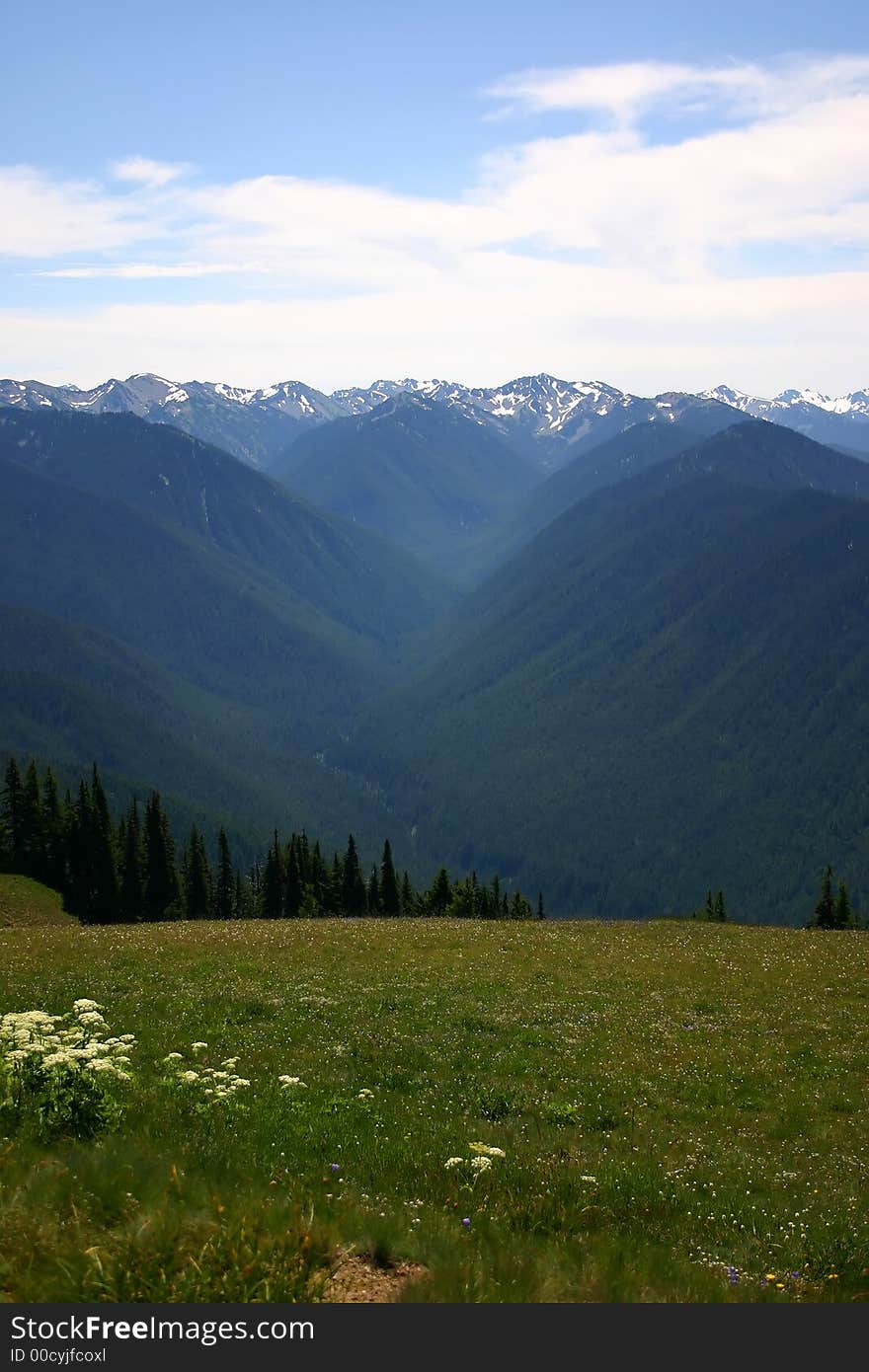 Hurricane Ridge viewpoint in Olympic Peninsula National Park, Washington State