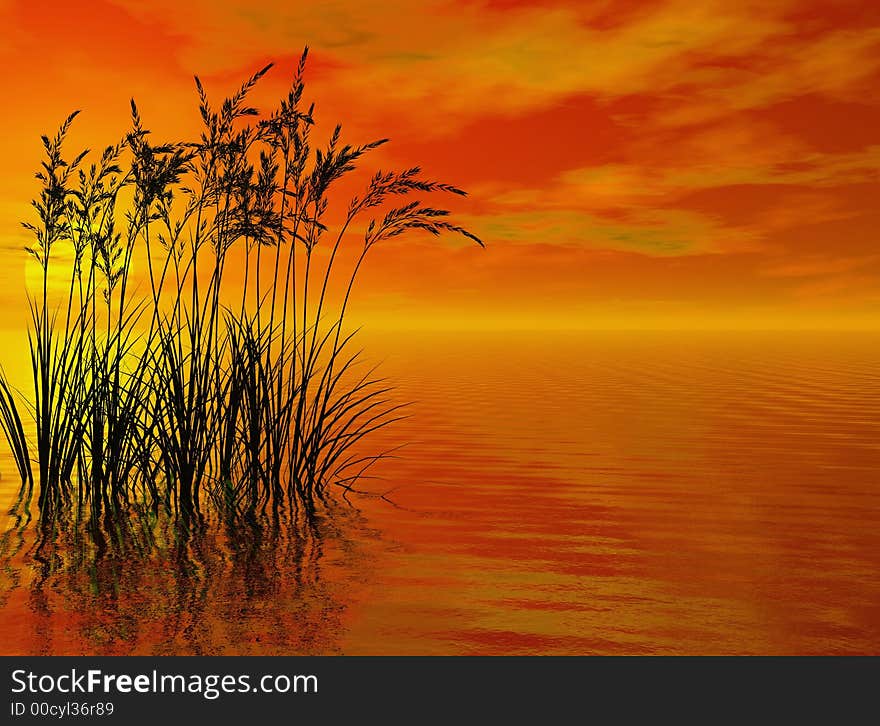 Water plants at sunset - 3D scene. Water plants at sunset - 3D scene.