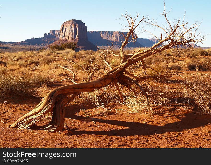 Monument Valley Navajo Tribal Park