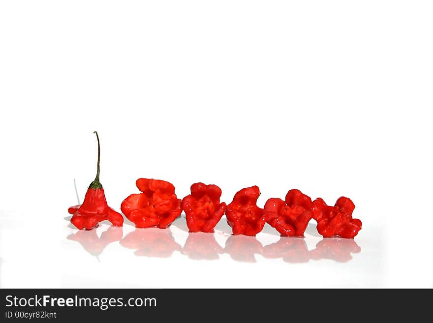 Red hot chili pepper on white background. Red hot chili pepper on white background