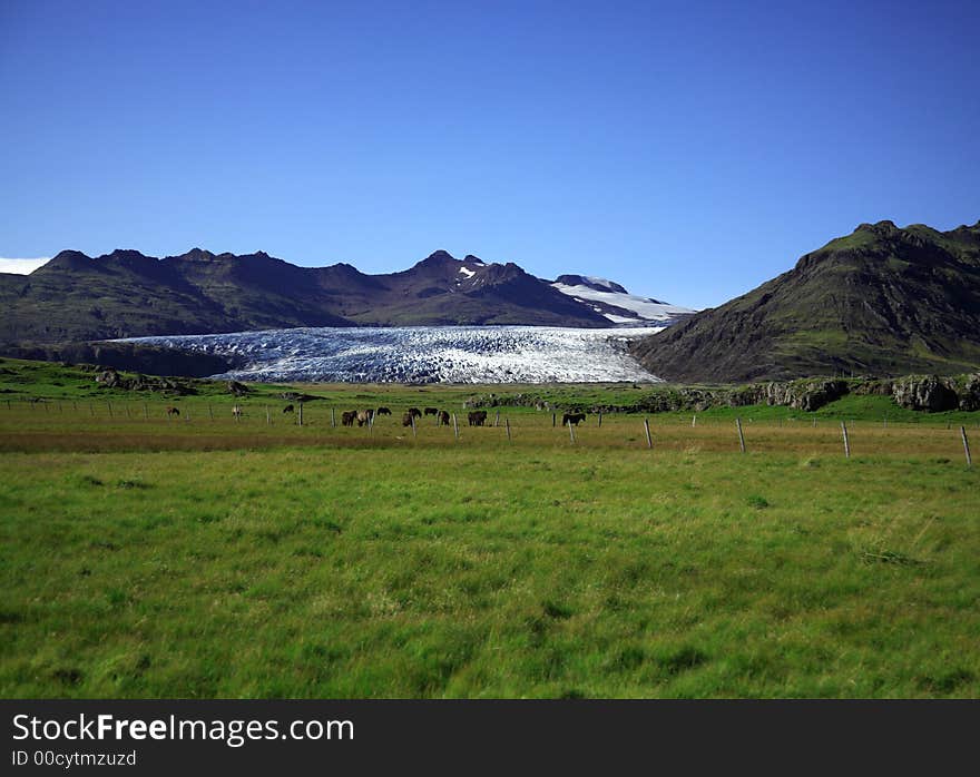 View of the glacier over the fields Iceland