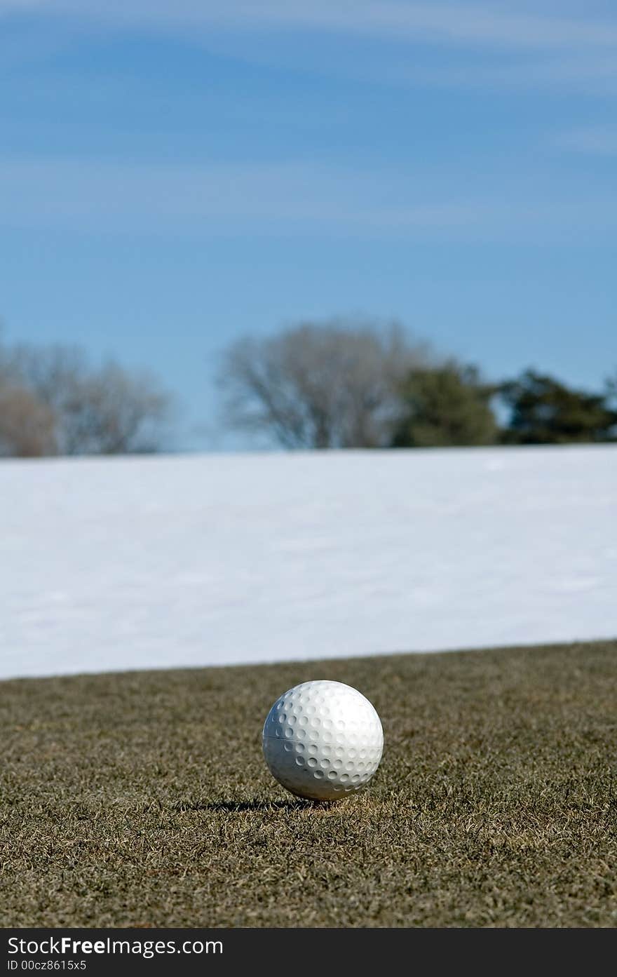 Ladies Tee Box