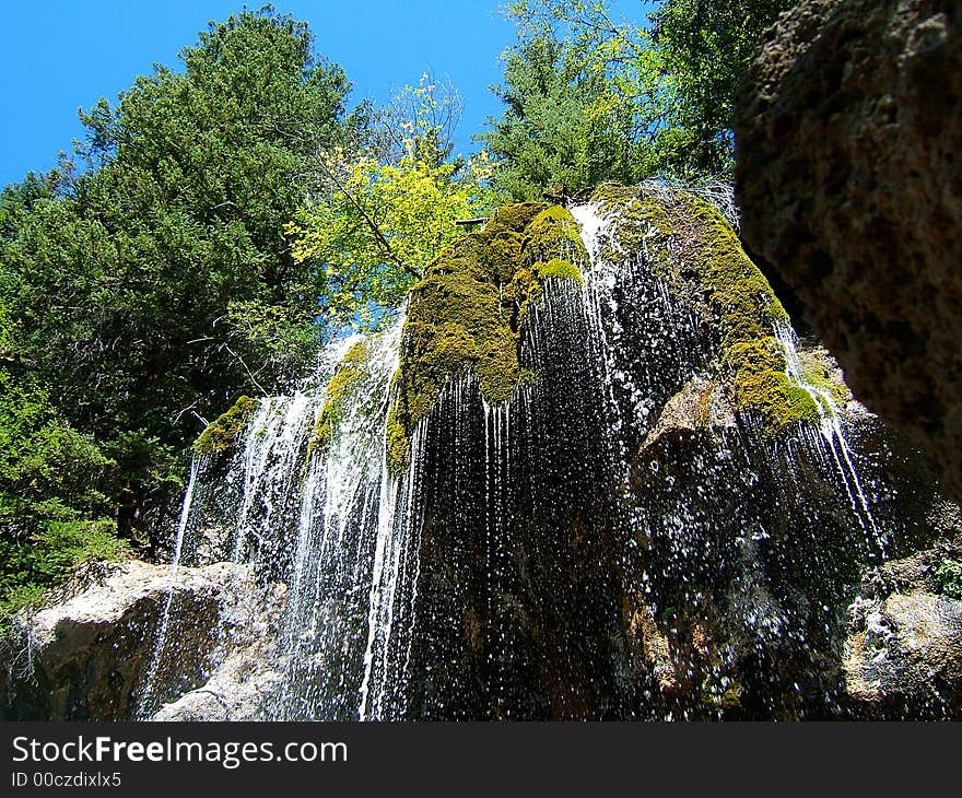 Water dripping through moss and plantlife. Water dripping through moss and plantlife