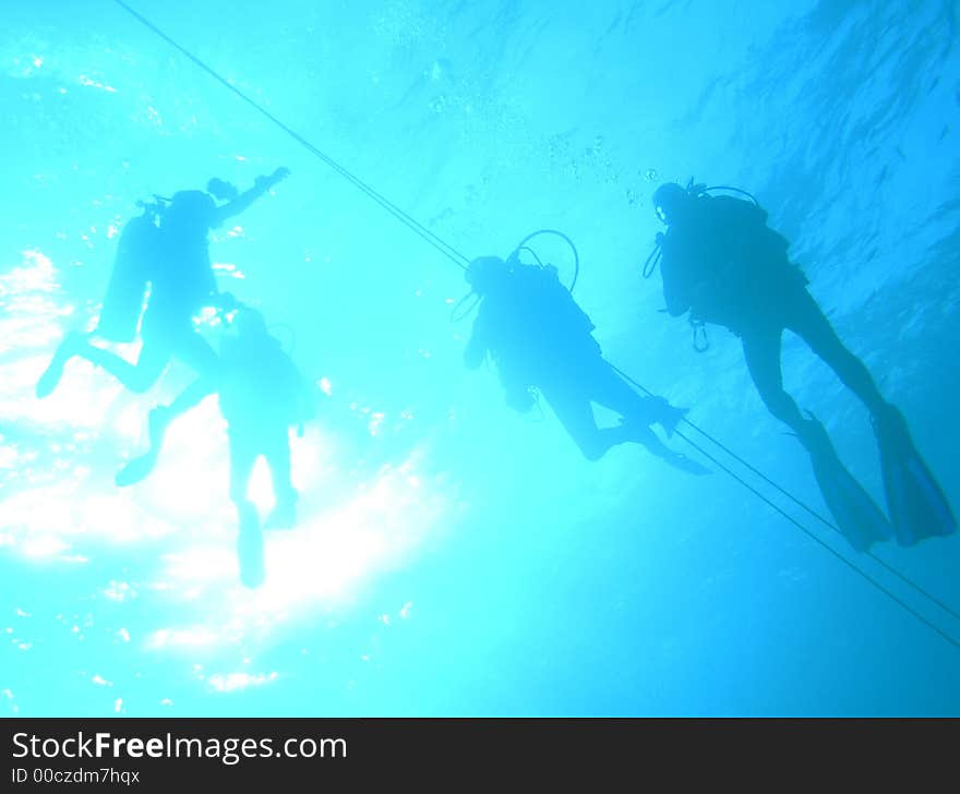 Divers waiting on the line before surfacing. Divers waiting on the line before surfacing