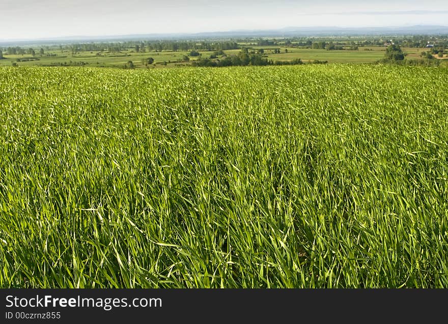 Beautiful landscape. Picture taken at countryside in Poland. Beautiful landscape. Picture taken at countryside in Poland