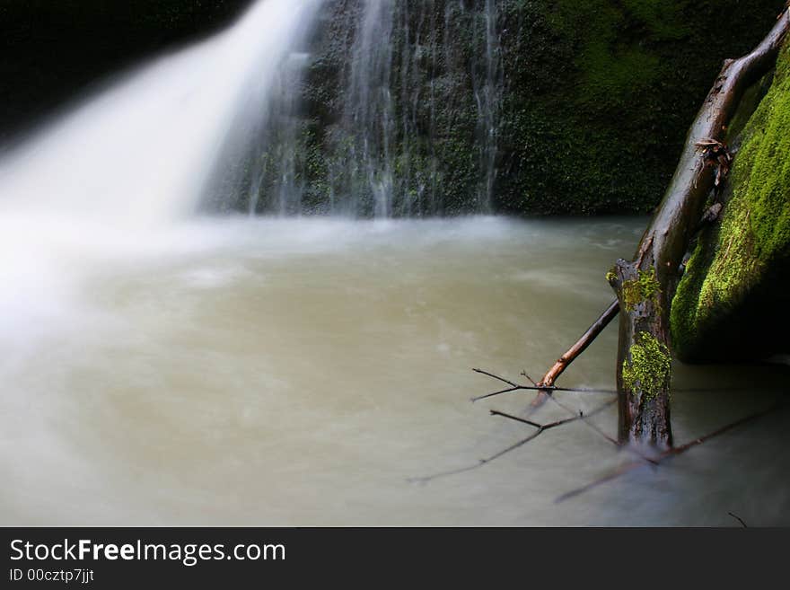 Lubber in water