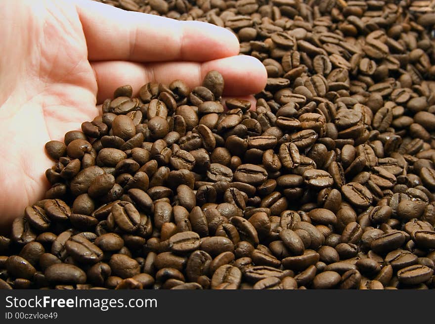 Hand with coffee bean