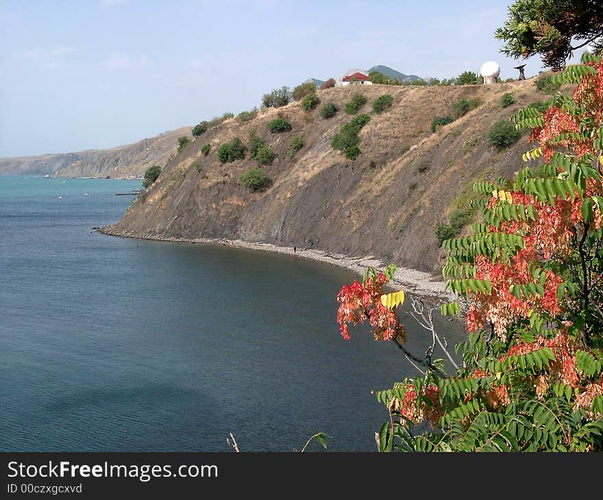 Landscape of high abrupt coast of Black sea with a beautiful tree in the foreground and the blue monophonic sky - on back. Landscape of high abrupt coast of Black sea with a beautiful tree in the foreground and the blue monophonic sky - on back