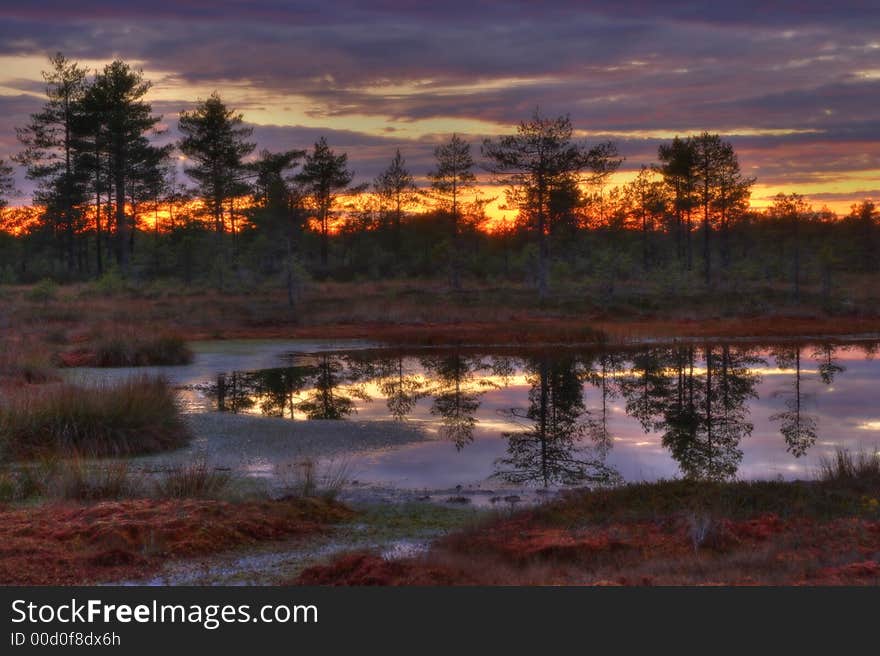 Autumn sunrise on the most beautiful bogs of Estonia. Autumn sunrise on the most beautiful bogs of Estonia