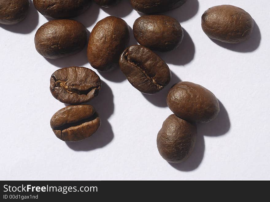 Coffee beans on clear background