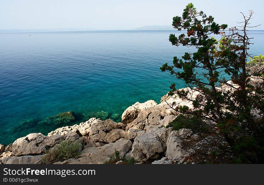 A paradise beach water seen from above, green vegetation.