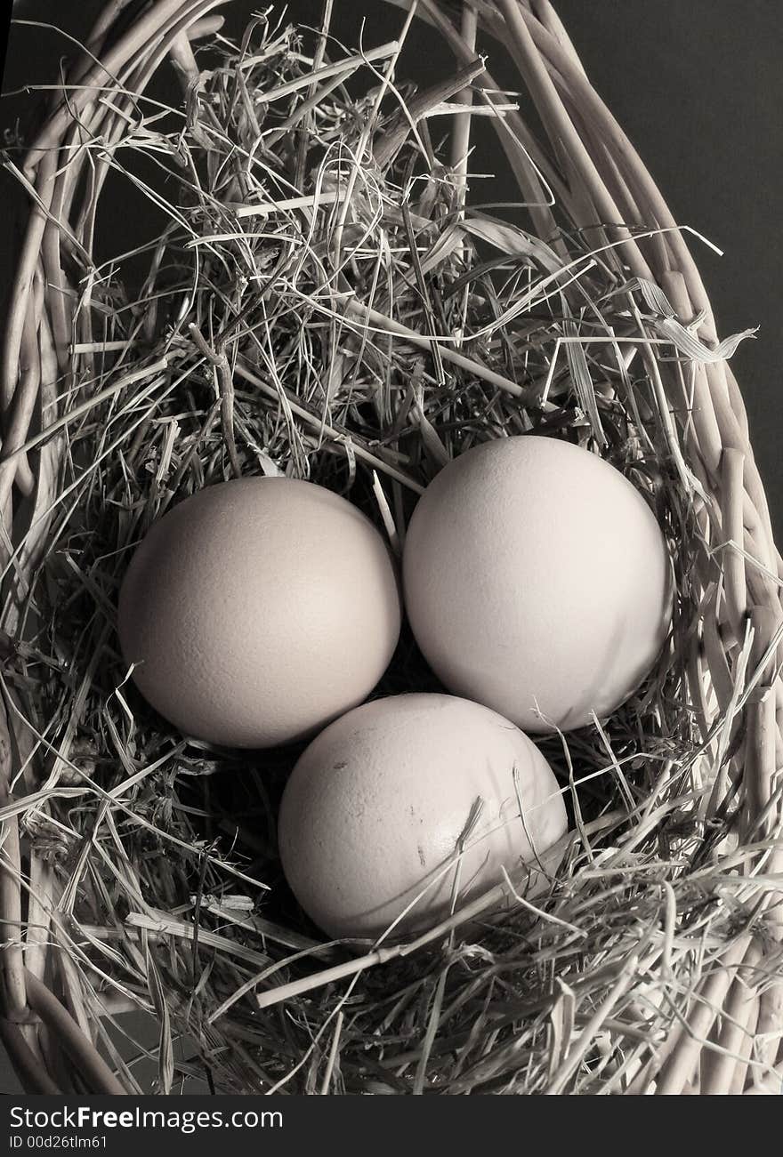 Three brown eggs latent in a dry grass. Three brown eggs latent in a dry grass