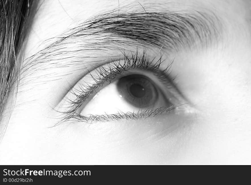 A close up of a human eye. A close up of a human eye