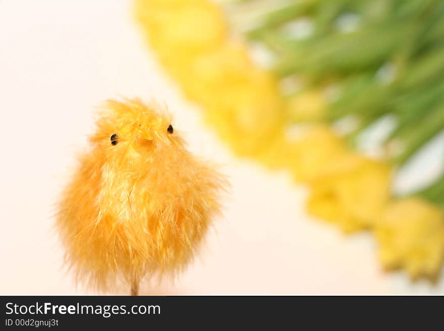 Yellow chicken baby in tulips background. Yellow chicken baby in tulips background