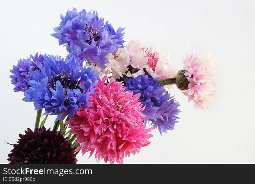 Bouquet of flowers isolated over white background