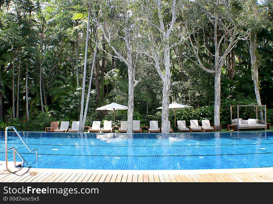 Pool and rainforest at a luxurious setting. Pool and rainforest at a luxurious setting