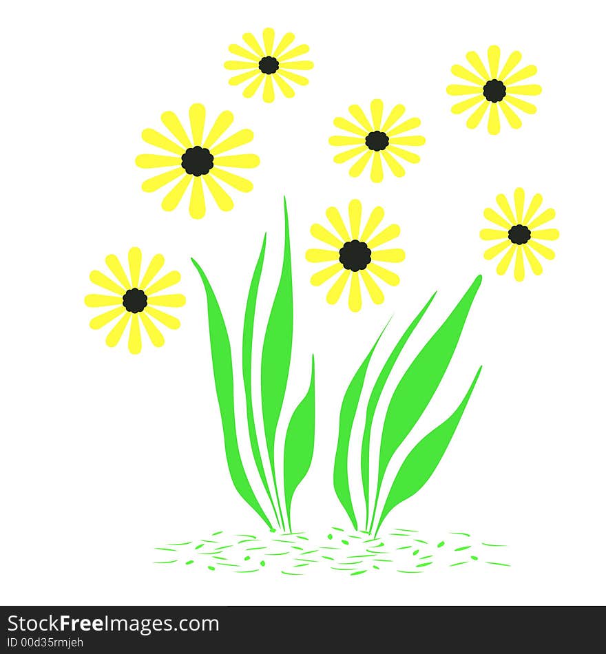 Spring flower garden yellow on white background. Spring flower garden yellow on white background