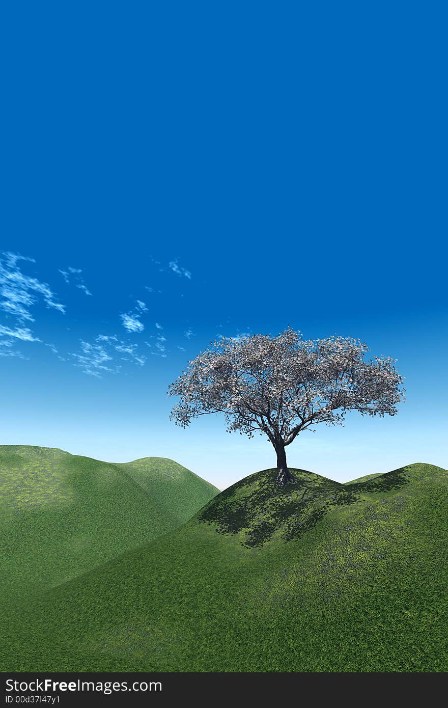 Alone blossom tree and beautiful sky - 3d landscape scene. Alone blossom tree and beautiful sky - 3d landscape scene.