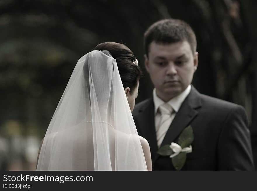 The bride and the groom in park. The bride and the groom in park