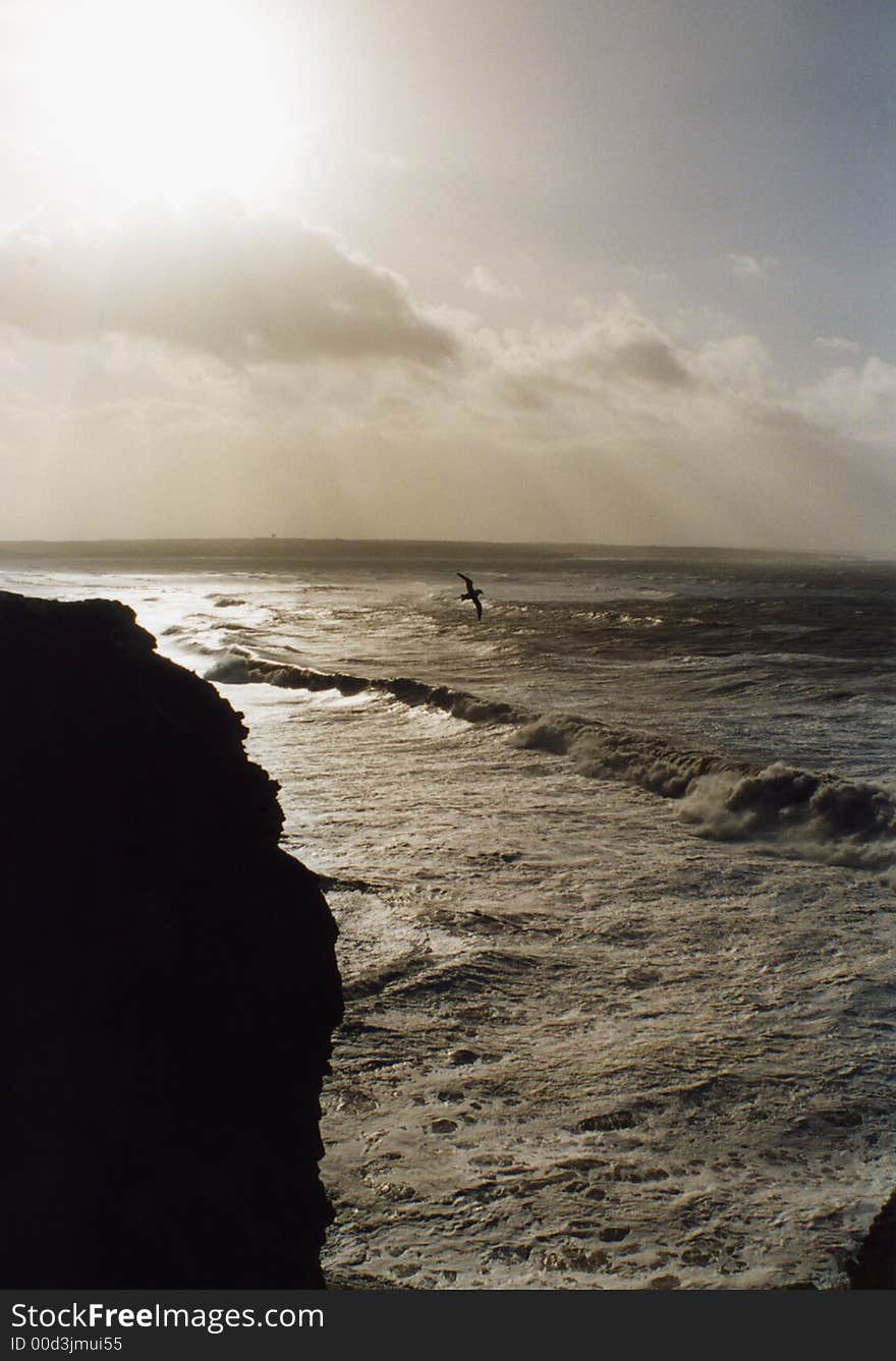 Lone seagull against the cliffs. Lone seagull against the cliffs