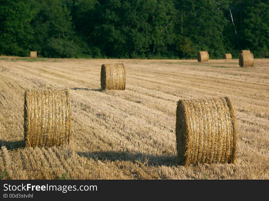 Bales on stubble field