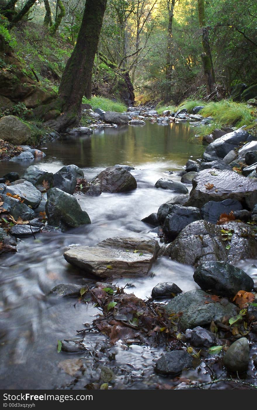 Long exposure of a small natural creek in motion. Long exposure of a small natural creek in motion.