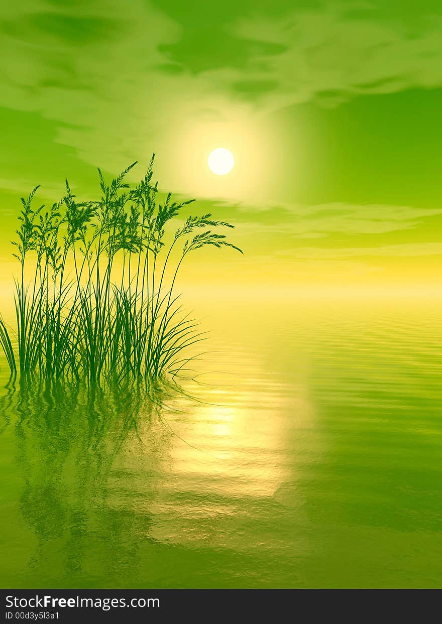 Water plants at sunset - 3D scene. Water plants at sunset - 3D scene.