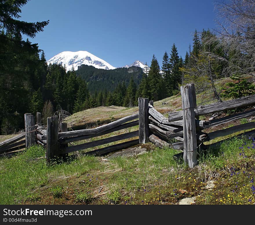 Mount Rainier