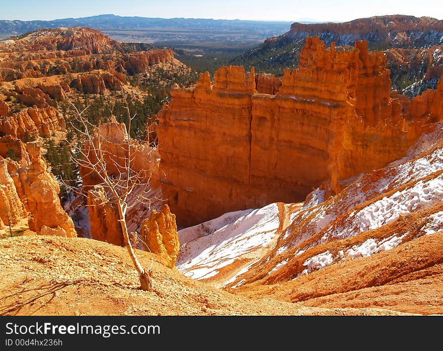 The Bryce Canyon National Park, Utah