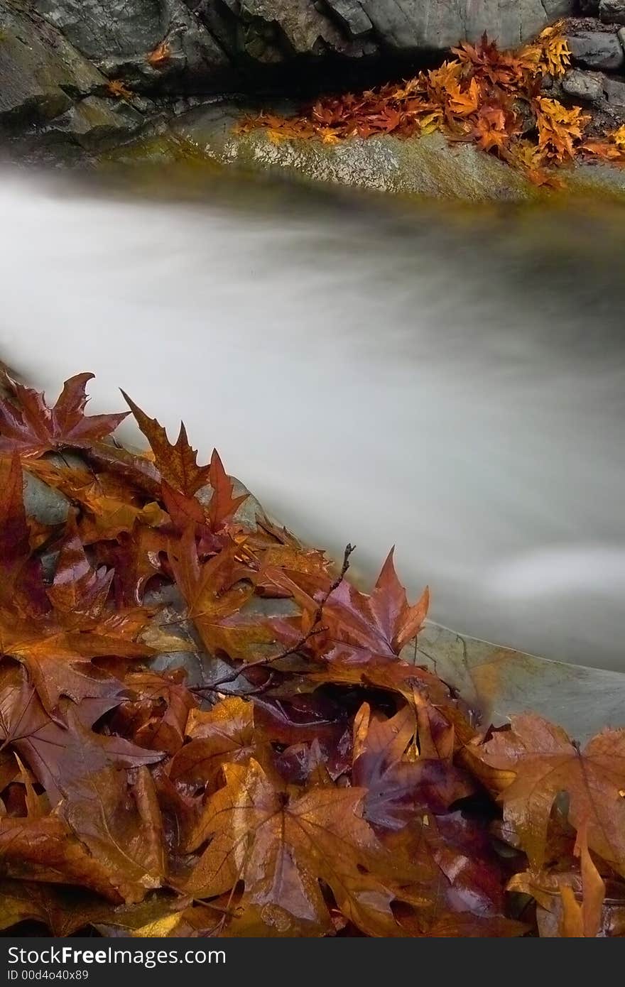 Long exposure was used to show the water silky and blurry. Long exposure was used to show the water silky and blurry.