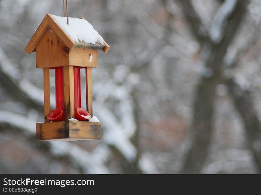 Hummingbird Feeder