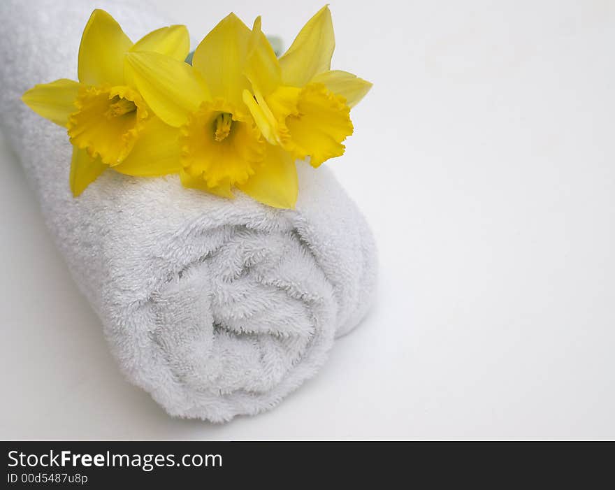 Spring yellow daffodils on crisp white bath towel in Bathroom or spa. Spring yellow daffodils on crisp white bath towel in Bathroom or spa